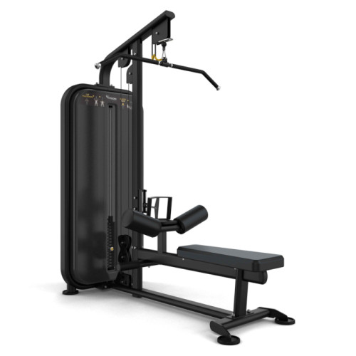 Vision Lat Pulldown / Seated Row